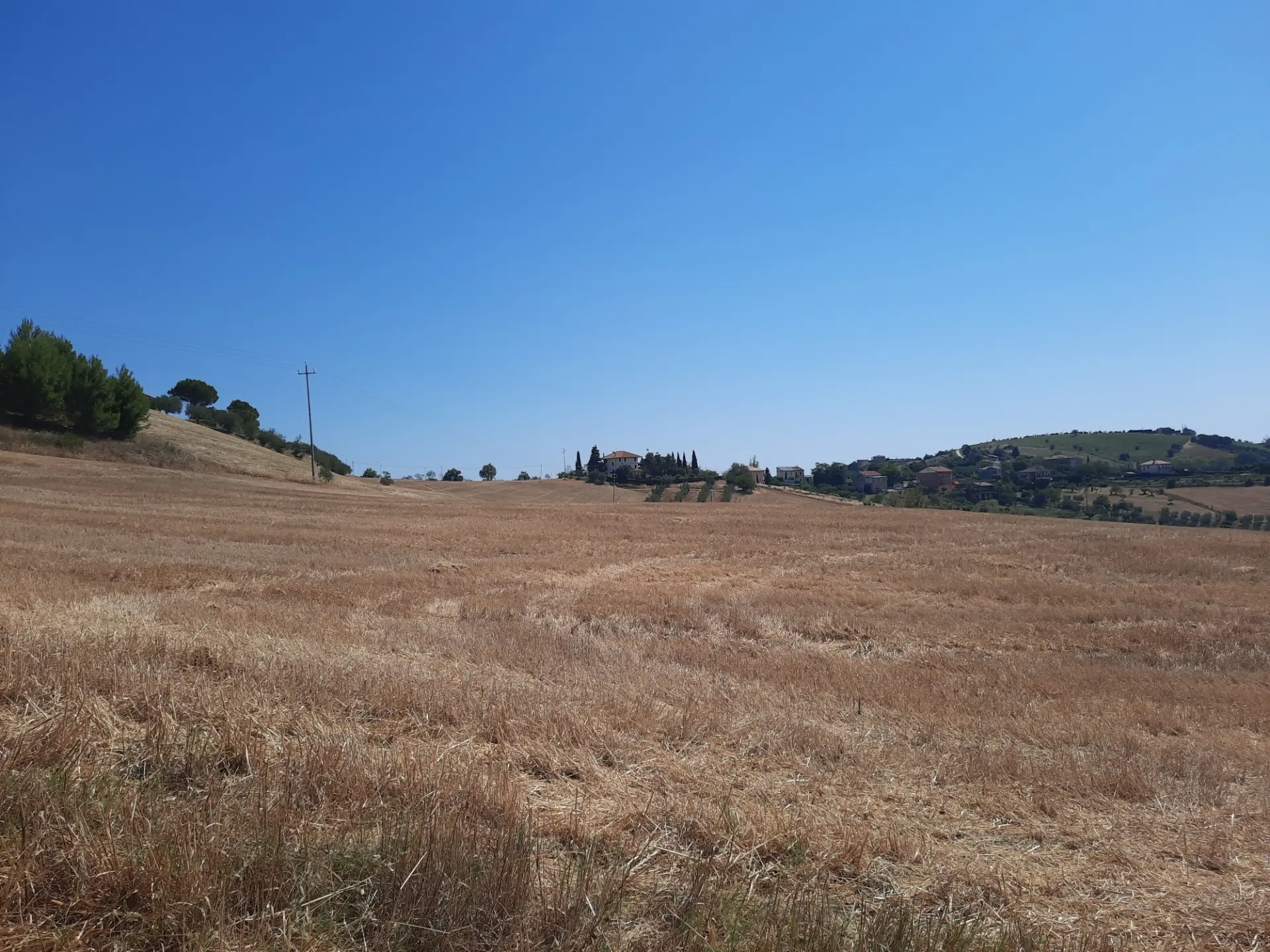 Immagine per Agricolo in vendita a Offida via Sp 17