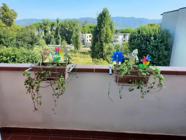 Monolocale piazza Luni 8, Sarzana