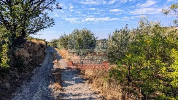 Terreno Agricolo via Piano Croce, Calatabiano
