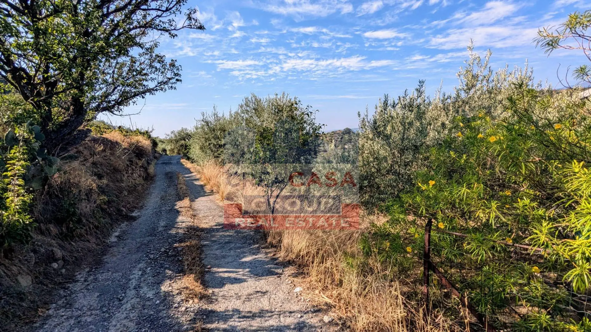 Immagine per Terreno Agricolo in vendita a Calatabiano Piano Croce 