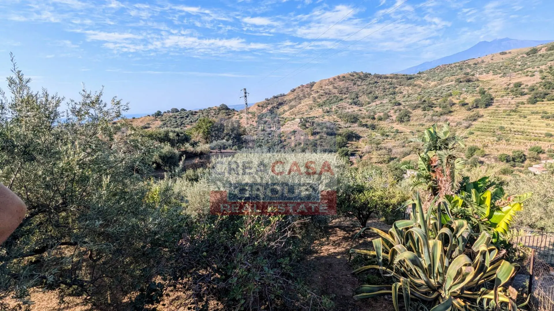 Immagine per Terreno Agricolo in vendita a Calatabiano Piano Croce 