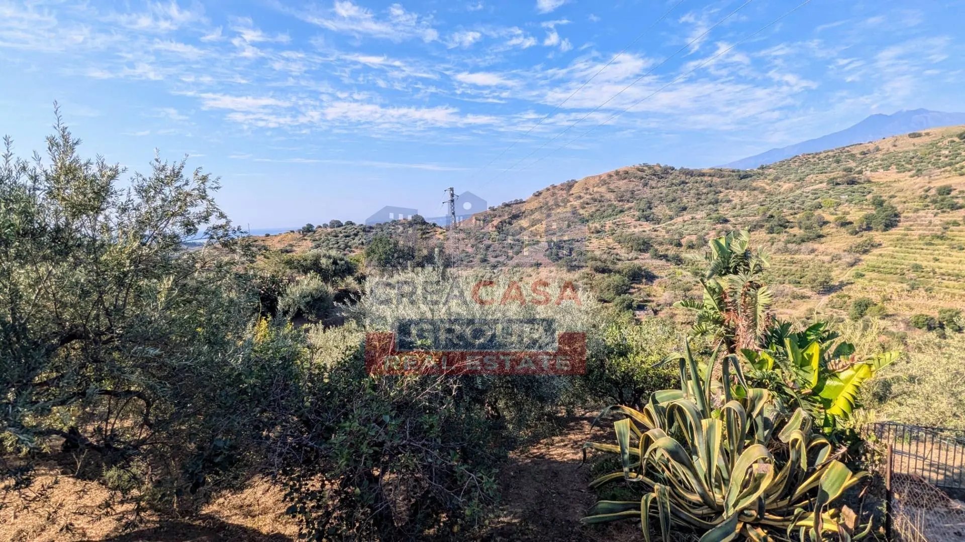 Immagine per Terreno Agricolo in vendita a Calatabiano Piano Croce 