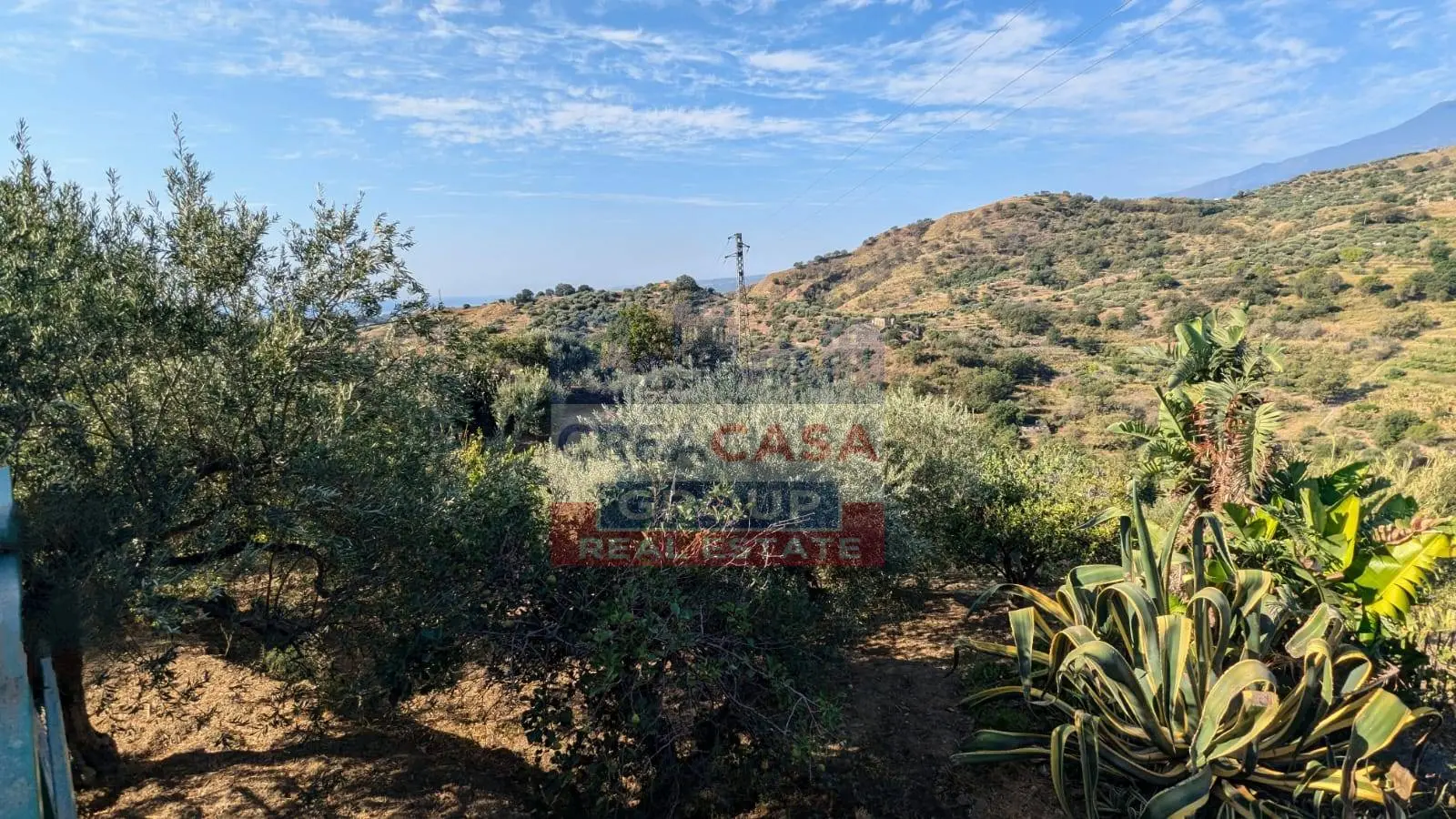 Immagine per Terreno Agricolo in vendita a Calatabiano Piano Croce 