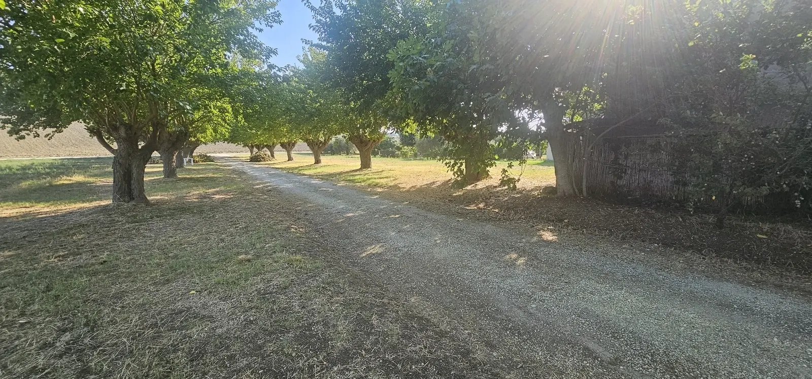 Immagine per Villa trifamiliare in vendita a Jesi via Vallettone snc