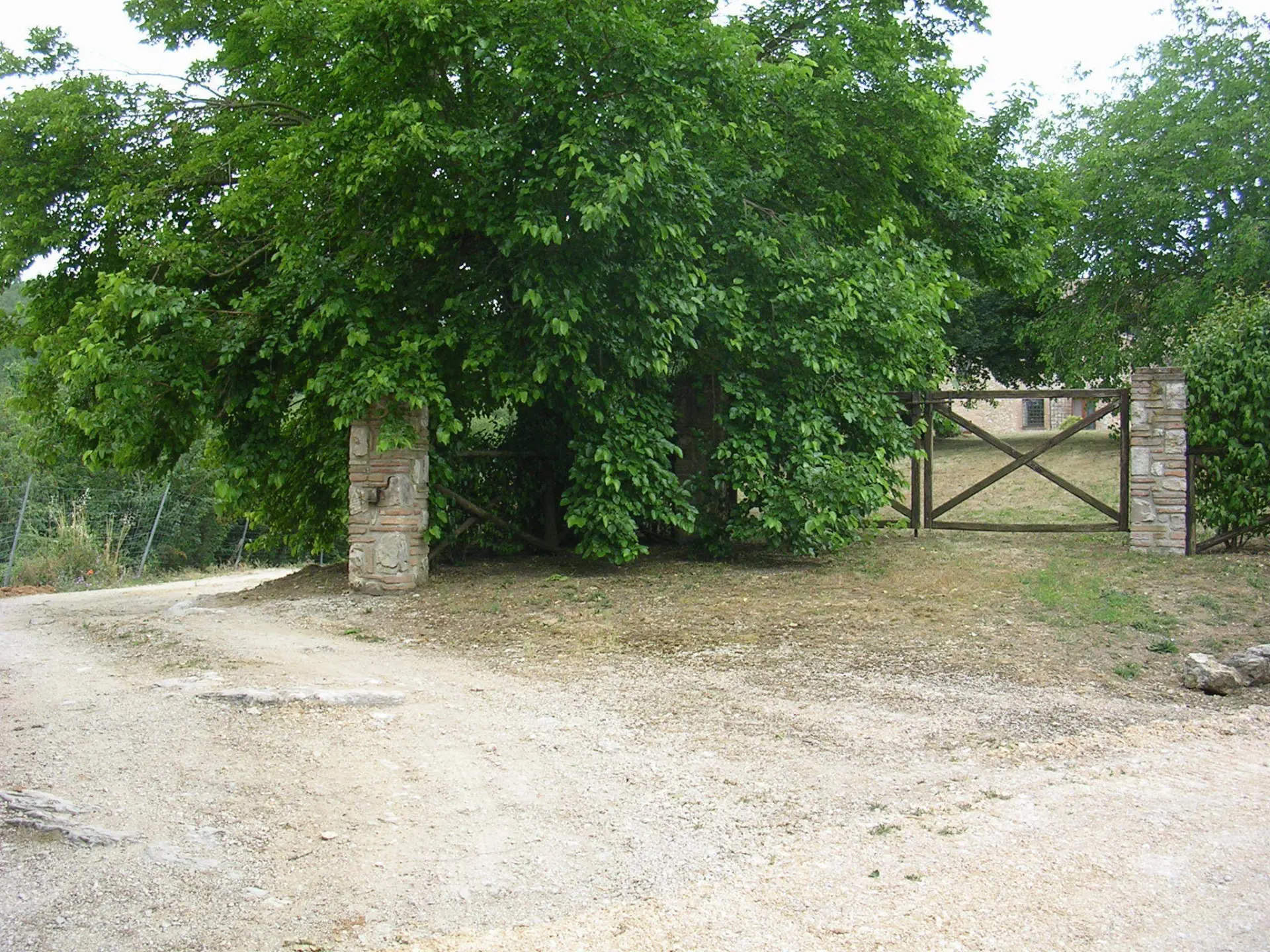 Immagine per Casale in vendita a Guardea via Località La Selve snc