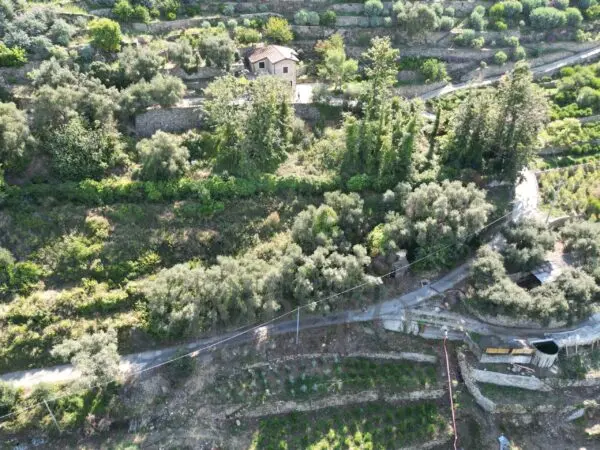 Area Verde via Silvio Pellico 10, Bordighera