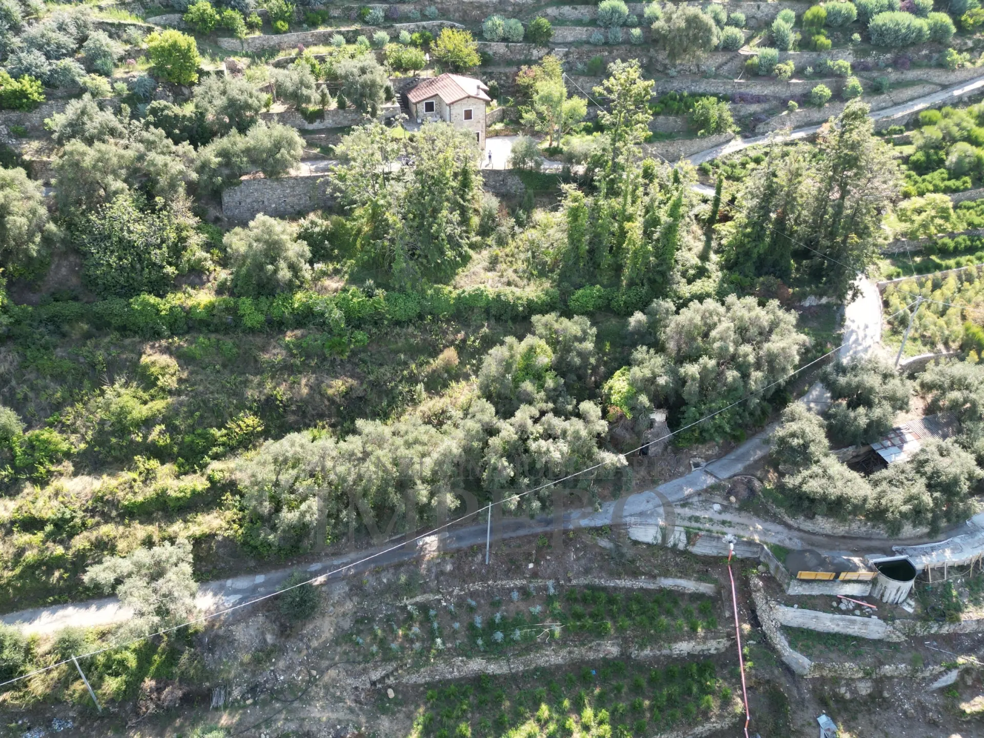 Immagine per Area verde in vendita a Bordighera via Silvio Pellico 10