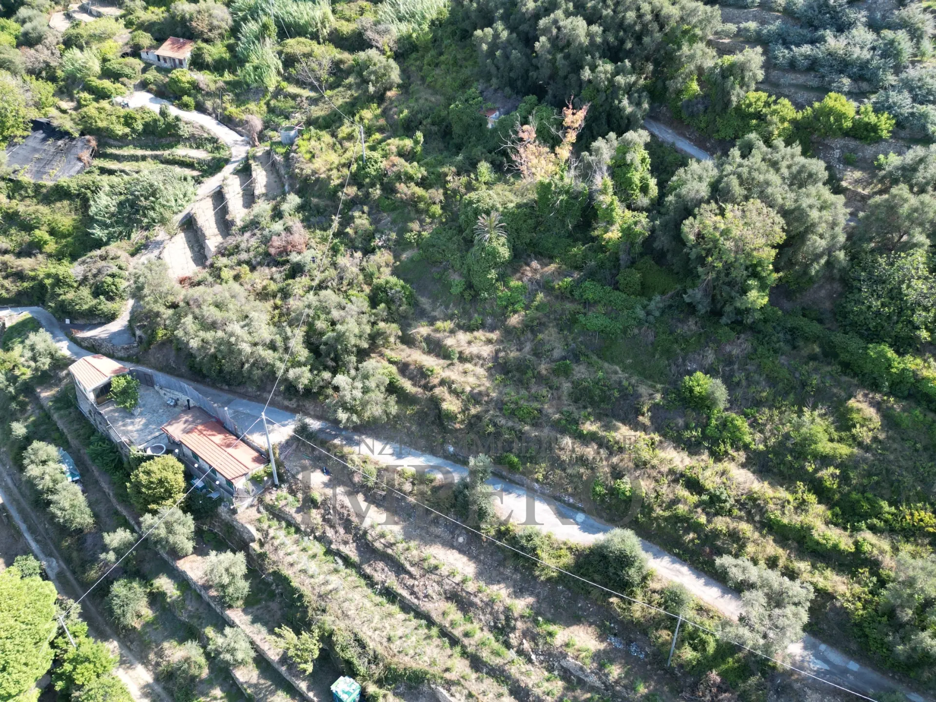 Immagine per Area verde in vendita a Bordighera via Silvio Pellico 10