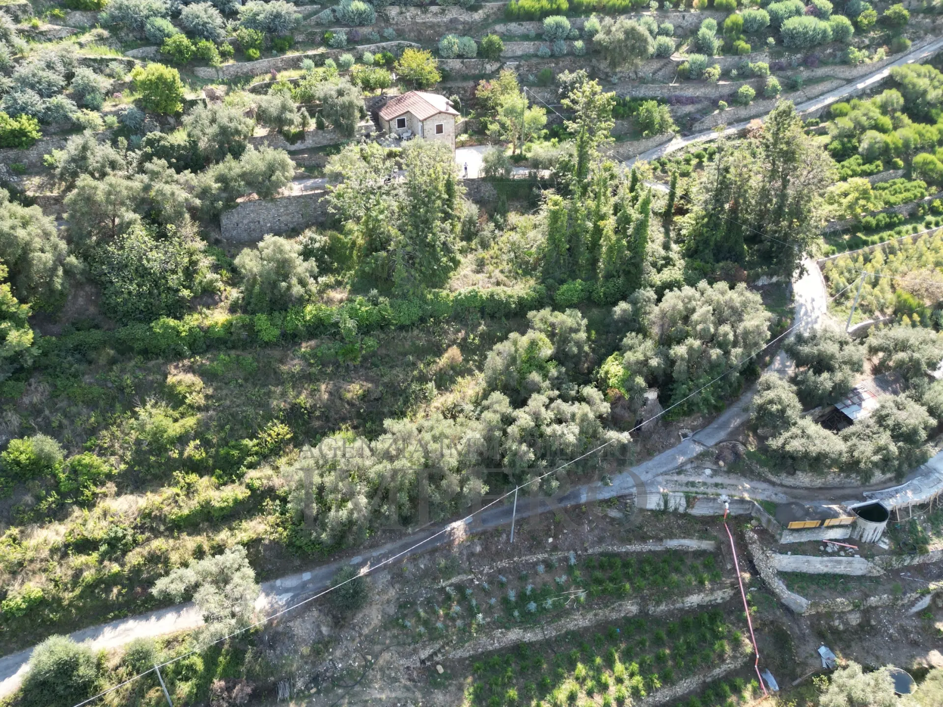 Immagine per Area verde in vendita a Bordighera via Silvio Pellico 10