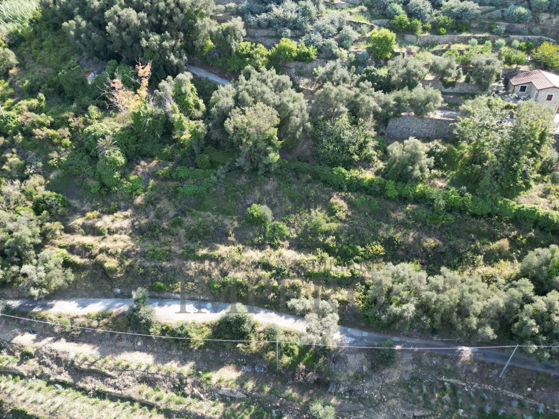 Immagine per Area verde in vendita a Bordighera via Silvio Pellico 10