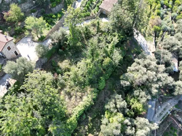 Immagine per Area verde in vendita a Bordighera via Silvio Pellico 10