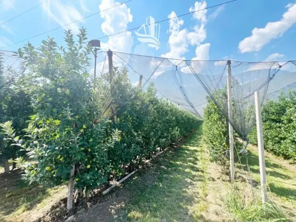 Terreno Agricolo Nalles
