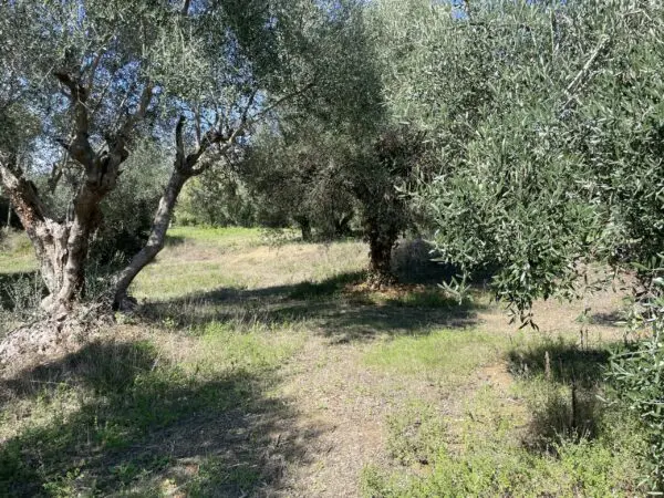 Casale via Fontanelle, Porto Sant'Elpidio