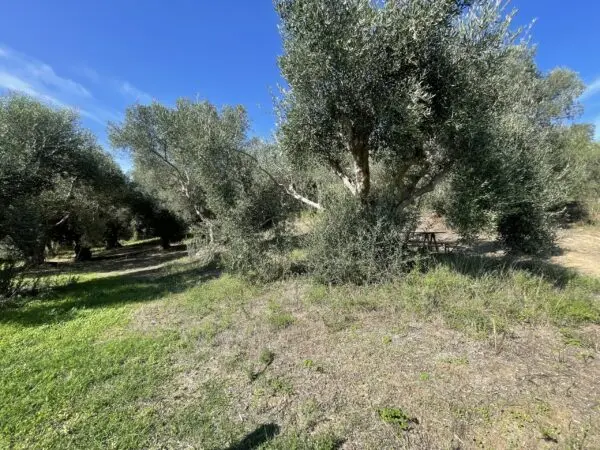 Casale via Fontanelle, Porto Sant'Elpidio
