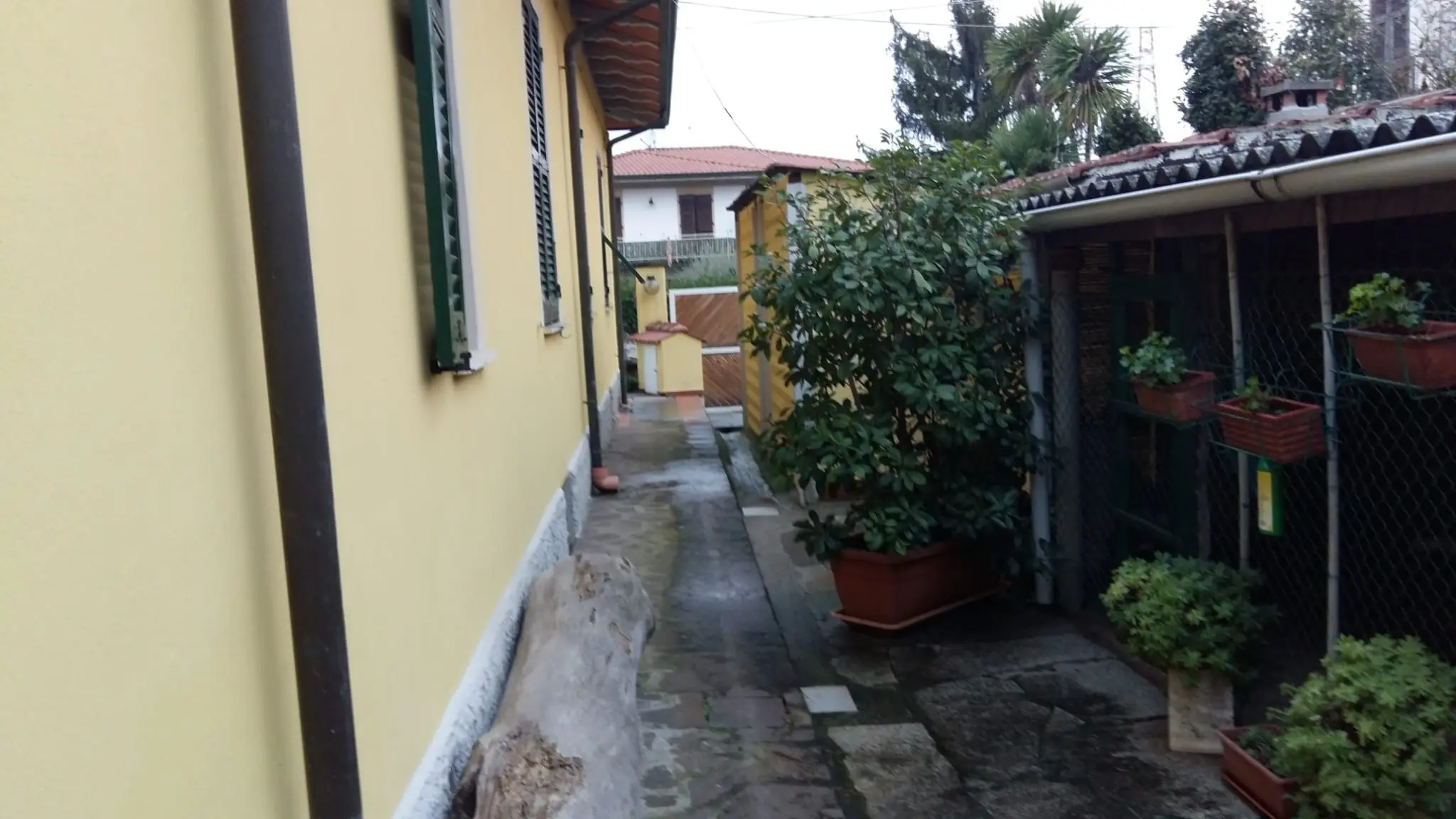 Immagine per Terratetto in vendita a Luni corso 40