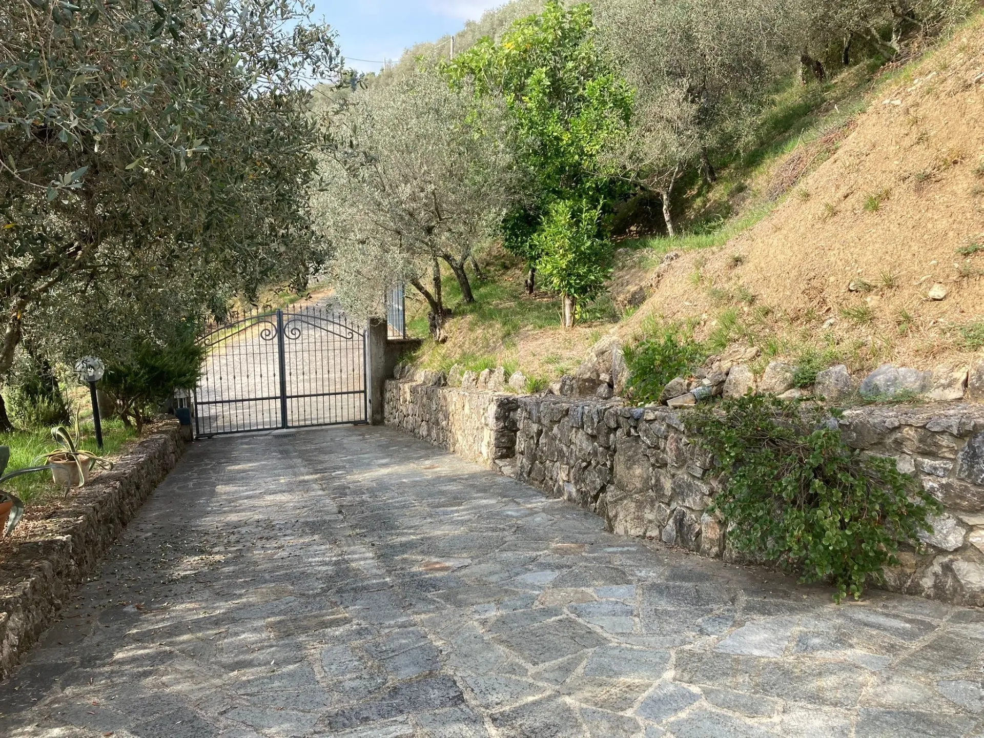 Immagine per Villa in vendita a Castelnuovo Magra via Provinciale 247