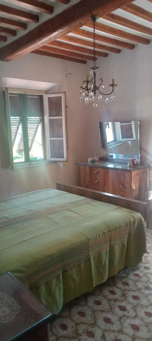 Immagine per Villa in vendita a Lucca