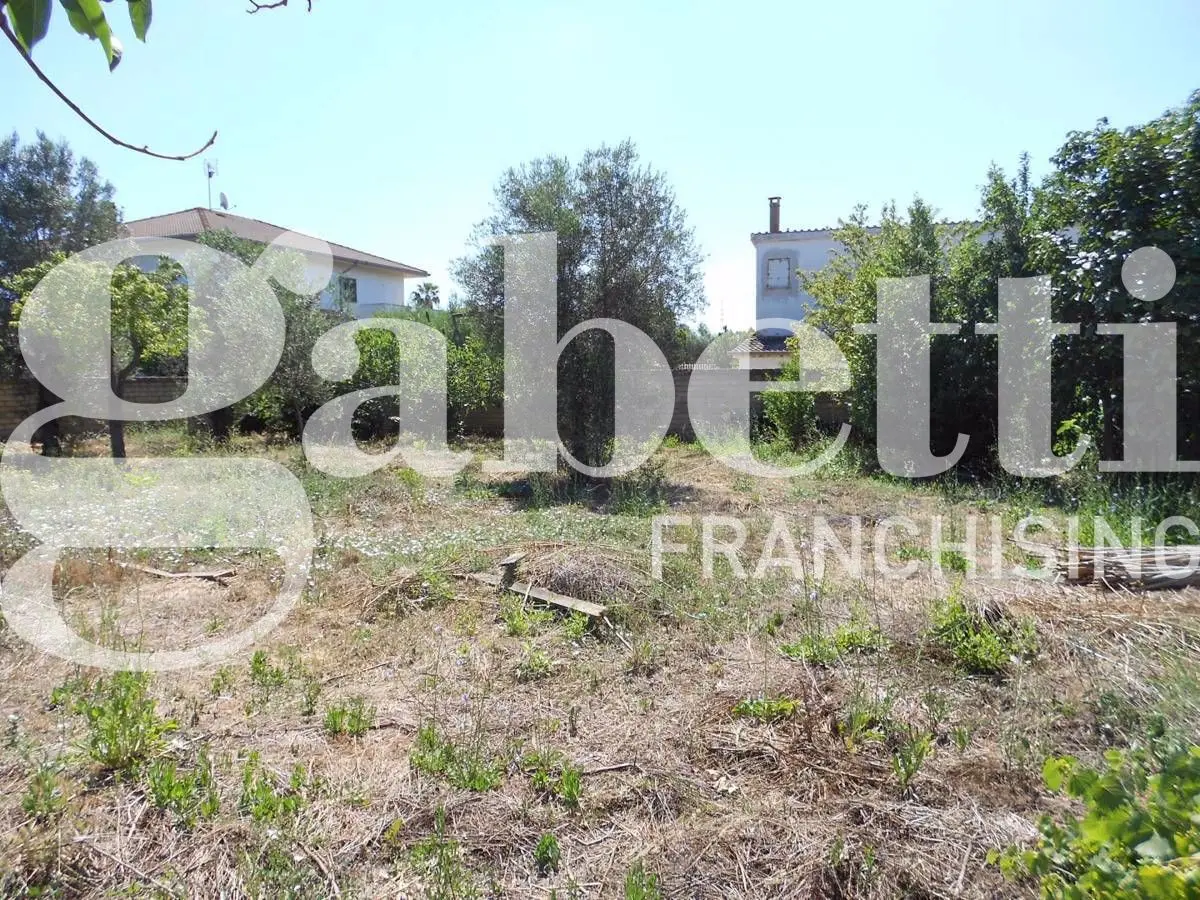 Immagine per Terreno Agricolo in vendita a Ladispoli via Dei Fiori 4