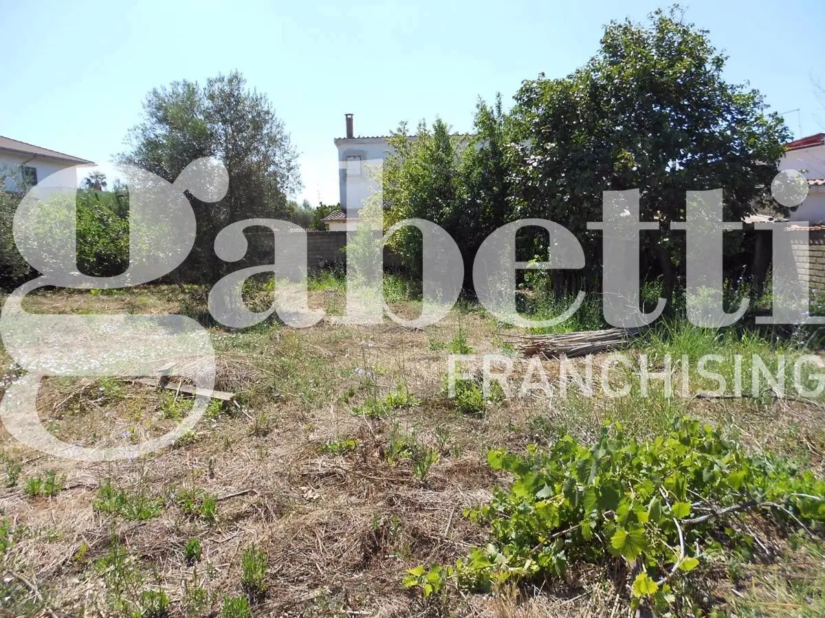 Immagine per Terreno Agricolo in vendita a Ladispoli via Dei Fiori 4