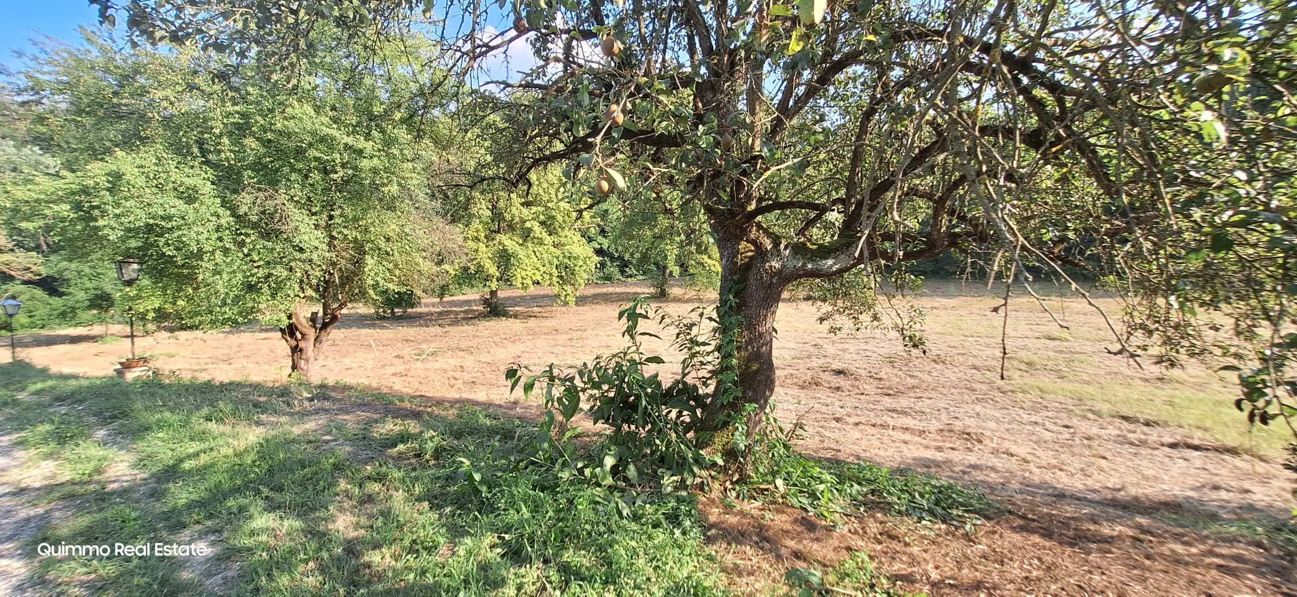 Immagine per Residence in Vendita a asti Frazione sessant 312
