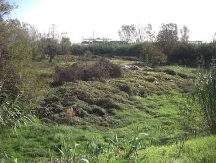 Terreno Commerciale via Località Cafaggio Snc, Ameglia