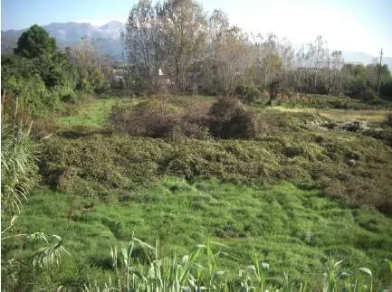 Terreno Commerciale via Località Cafaggio Snc, Ameglia