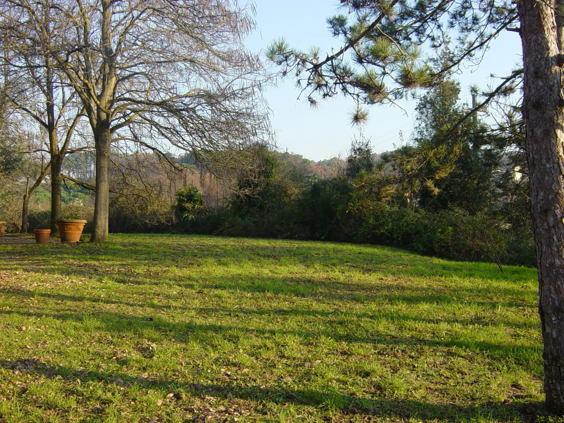 Immagine per Villa in vendita a Lucca via Vecchia Pesciatina In Gragnano