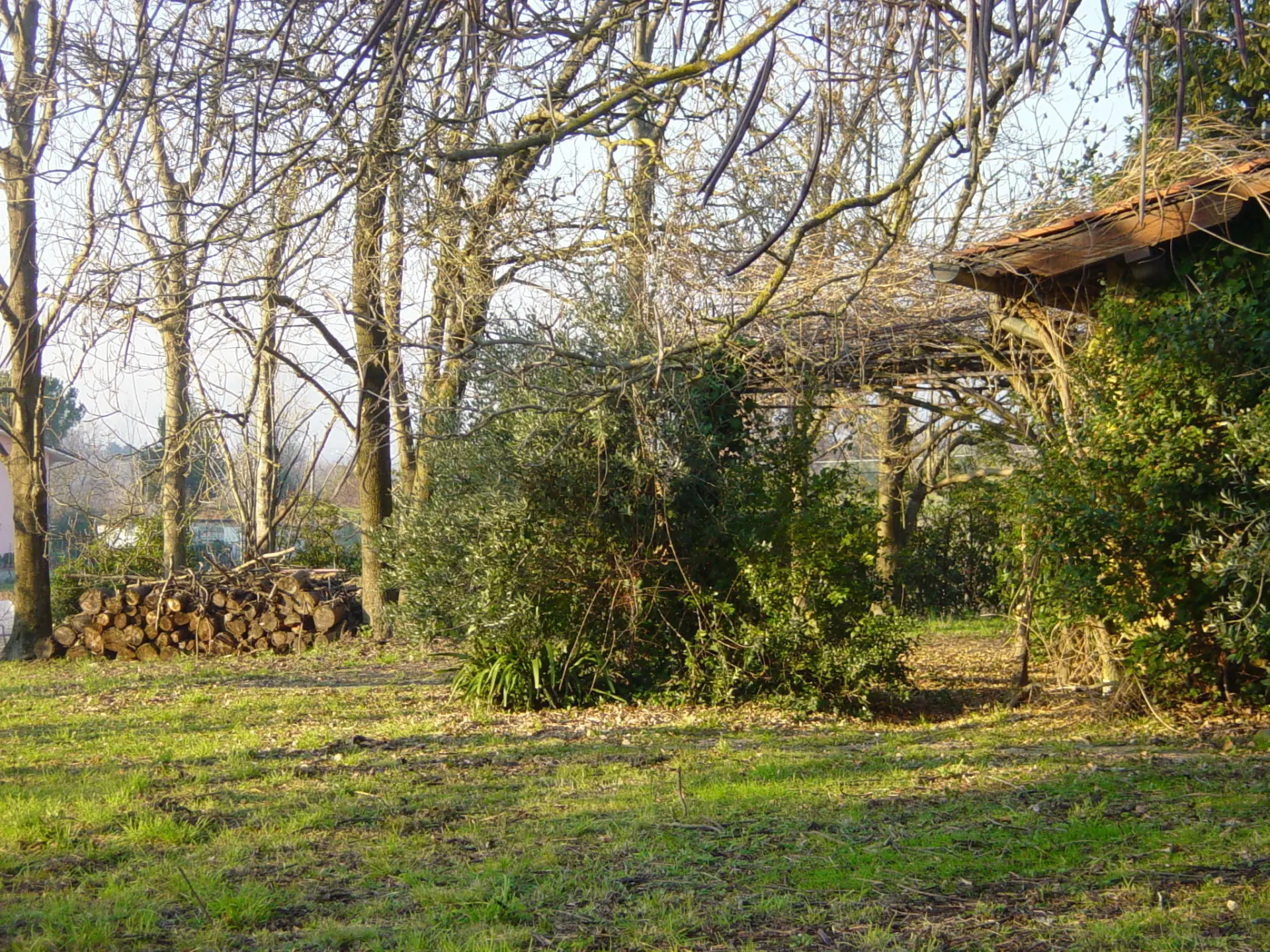 Immagine per Villa in vendita a Lucca via Vecchia Pesciatina In Gragnano