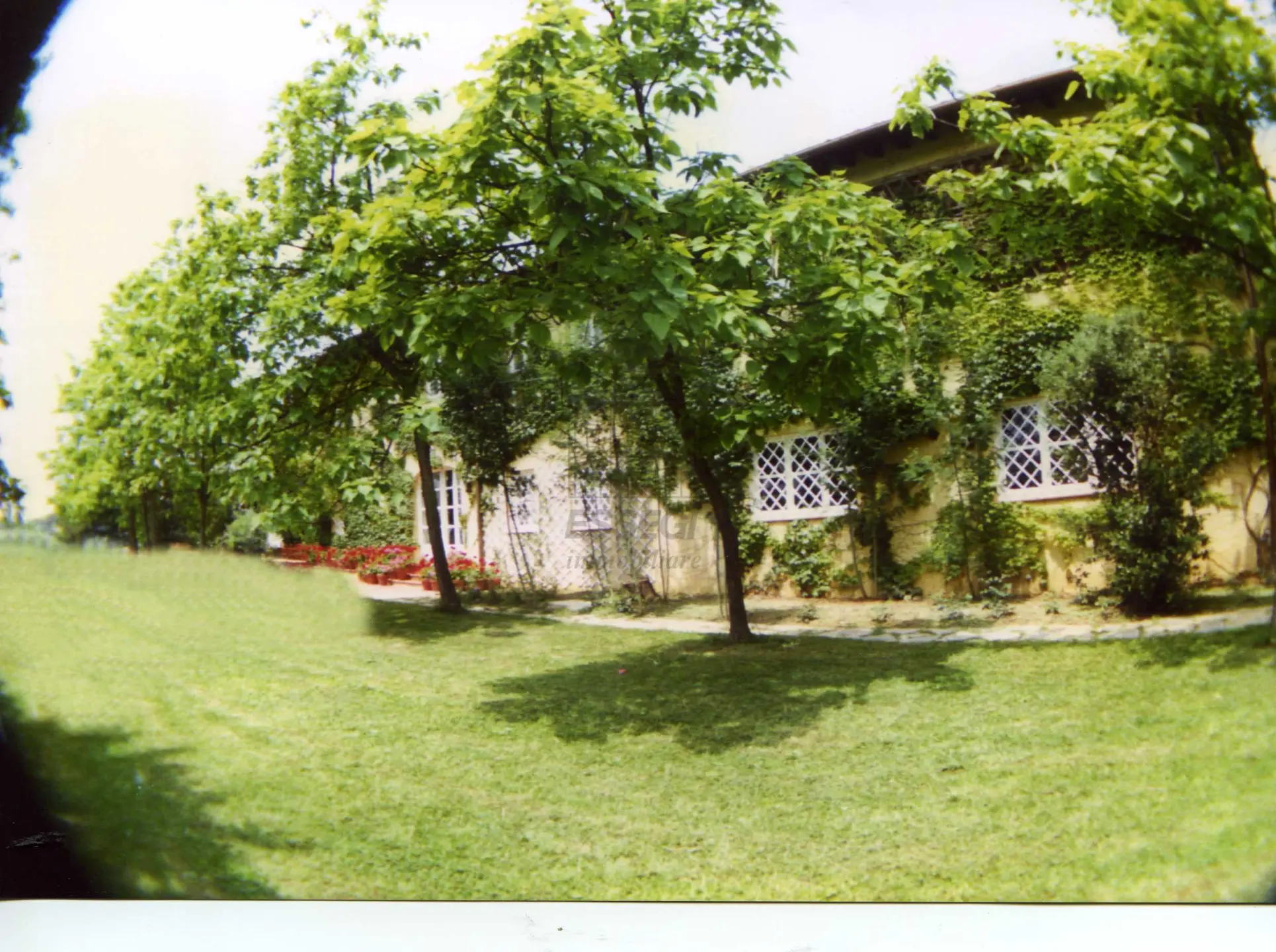 Immagine per Villa in vendita a Lucca via Vecchia Pesciatina In Gragnano