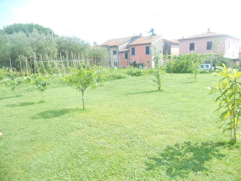Immagine per Terratetto in vendita a Castelnuovo Magra