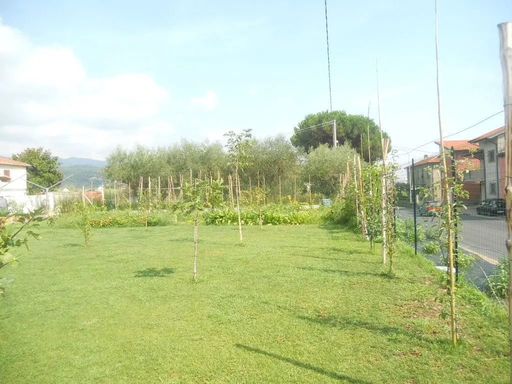 Immagine per Terratetto in vendita a Castelnuovo Magra