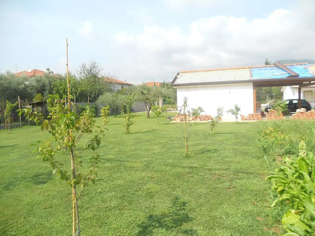 Immagine per Terratetto in vendita a Castelnuovo Magra