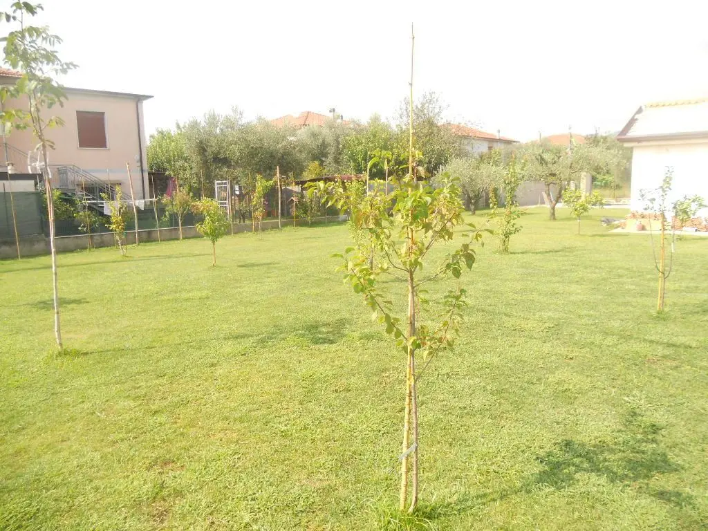 Immagine per Terratetto in vendita a Castelnuovo Magra