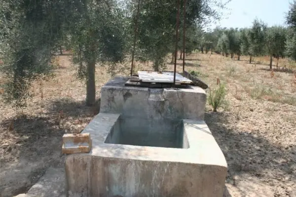 Terreno Agricolo via Contrada Mandrò, Cutrofiano
