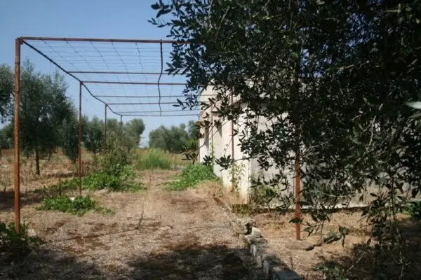 Terreno Agricolo via Contrada Mandrò, Cutrofiano
