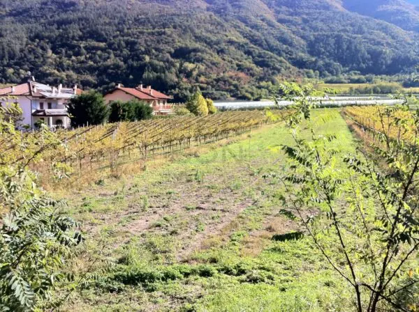 Terreno Edificabile via Piazzola, Cavedine