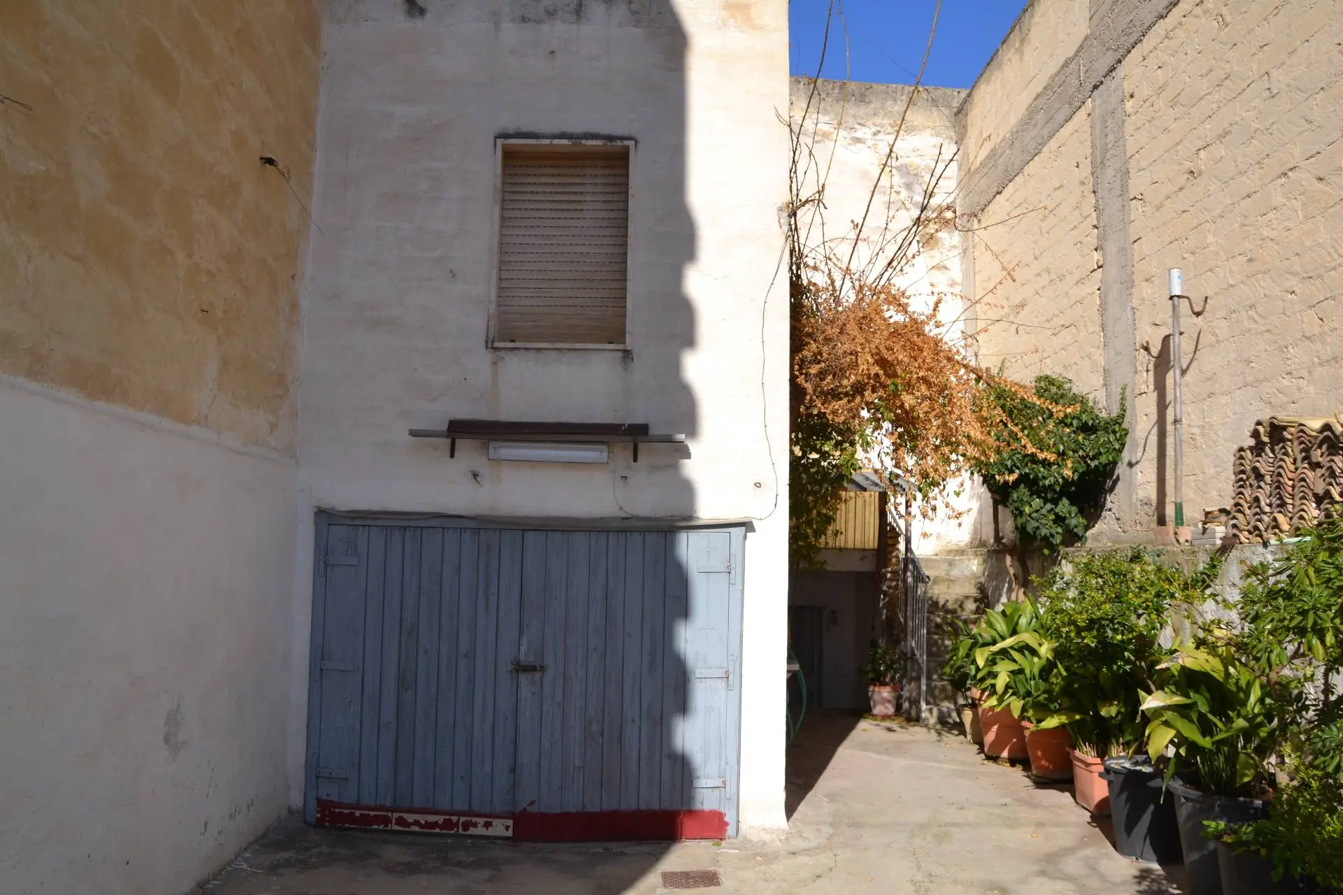 Immagine per Casa indipendente in vendita a Canosa di Puglia via Piave 