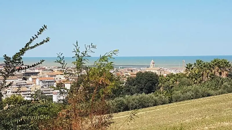 Immagine per Terreno Edificabile in vendita a San Benedetto del Tronto contrada Valle del forno
