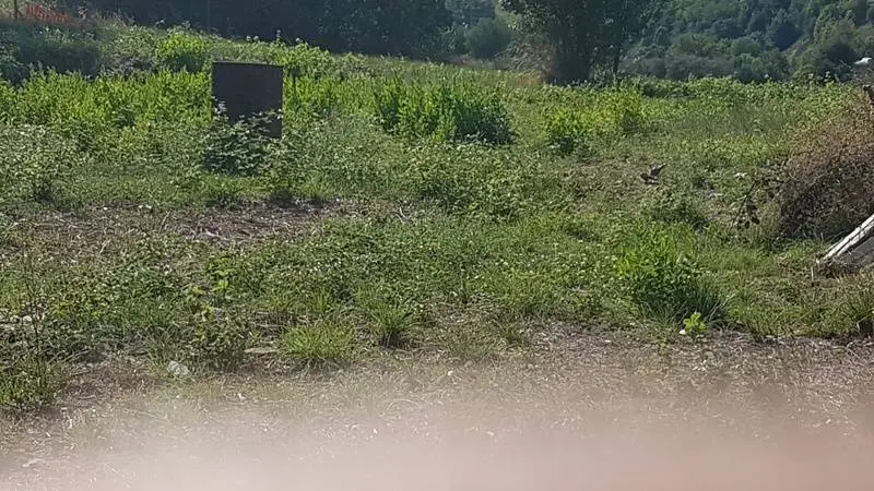 Immagine per Terreno Edificabile in vendita a San Benedetto del Tronto contrada Valle del forno