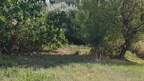 Terreno Edificabile via Contrada Valle Del Forno, San Benedetto Del Tronto