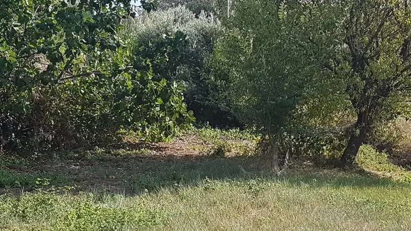 Immagine per Terreno Edificabile in vendita a San Benedetto del Tronto contrada Valle del forno