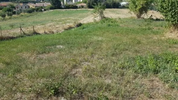 Terreno Edificabile via Contrada Valle Del Forno, San Benedetto Del Tronto