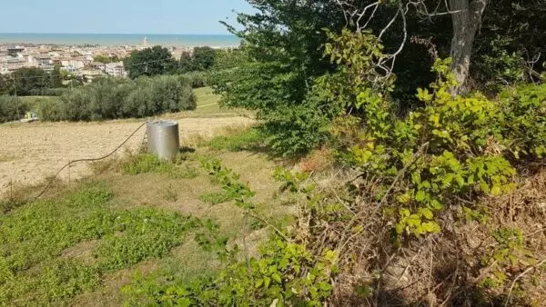 Terreno Edificabile via Contrada Valle Del Forno, San Benedetto Del Tronto
