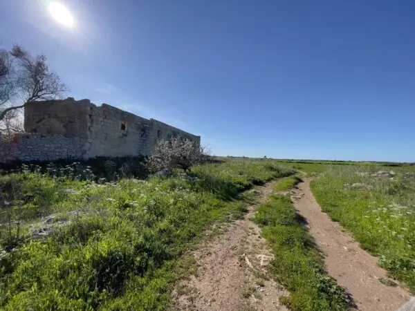 Rustico/Casale via Ardito Desio, Lecce