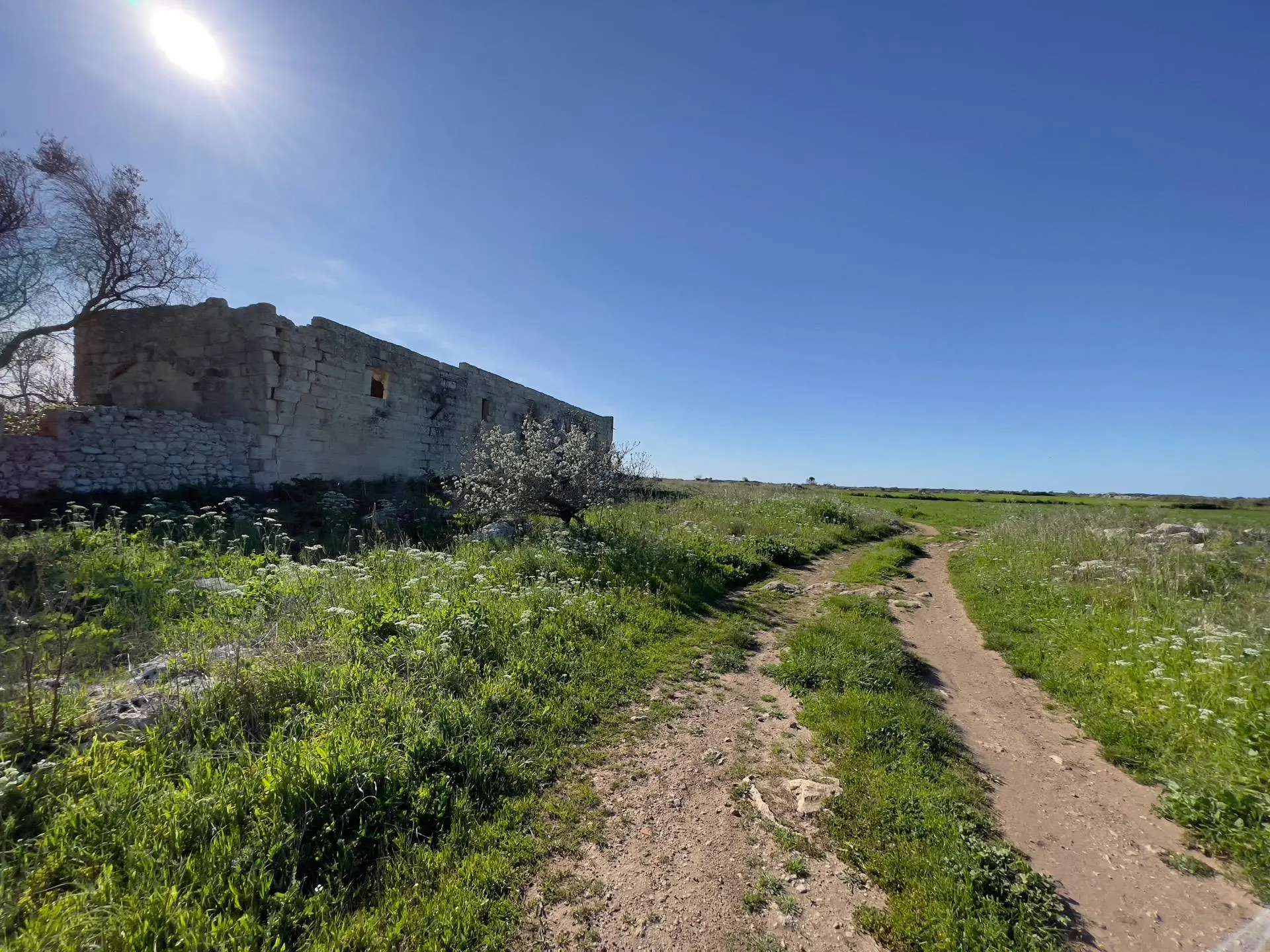 Immagine per Rustico/Casale in vendita a Lecce Via Ardito Desio