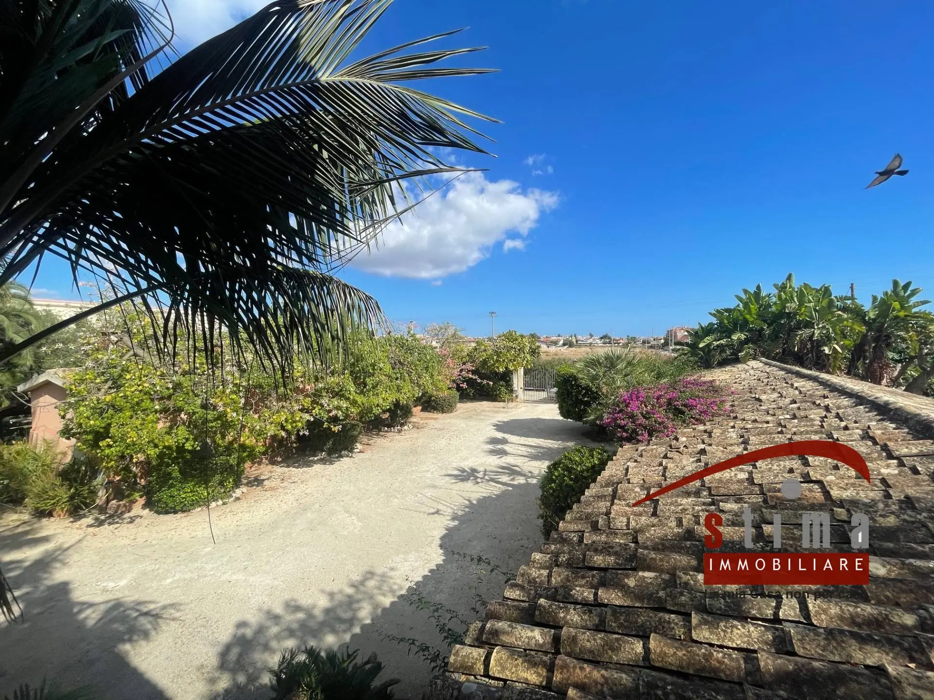 Immagine per Villa in vendita a Siracusa via del gabbiano 