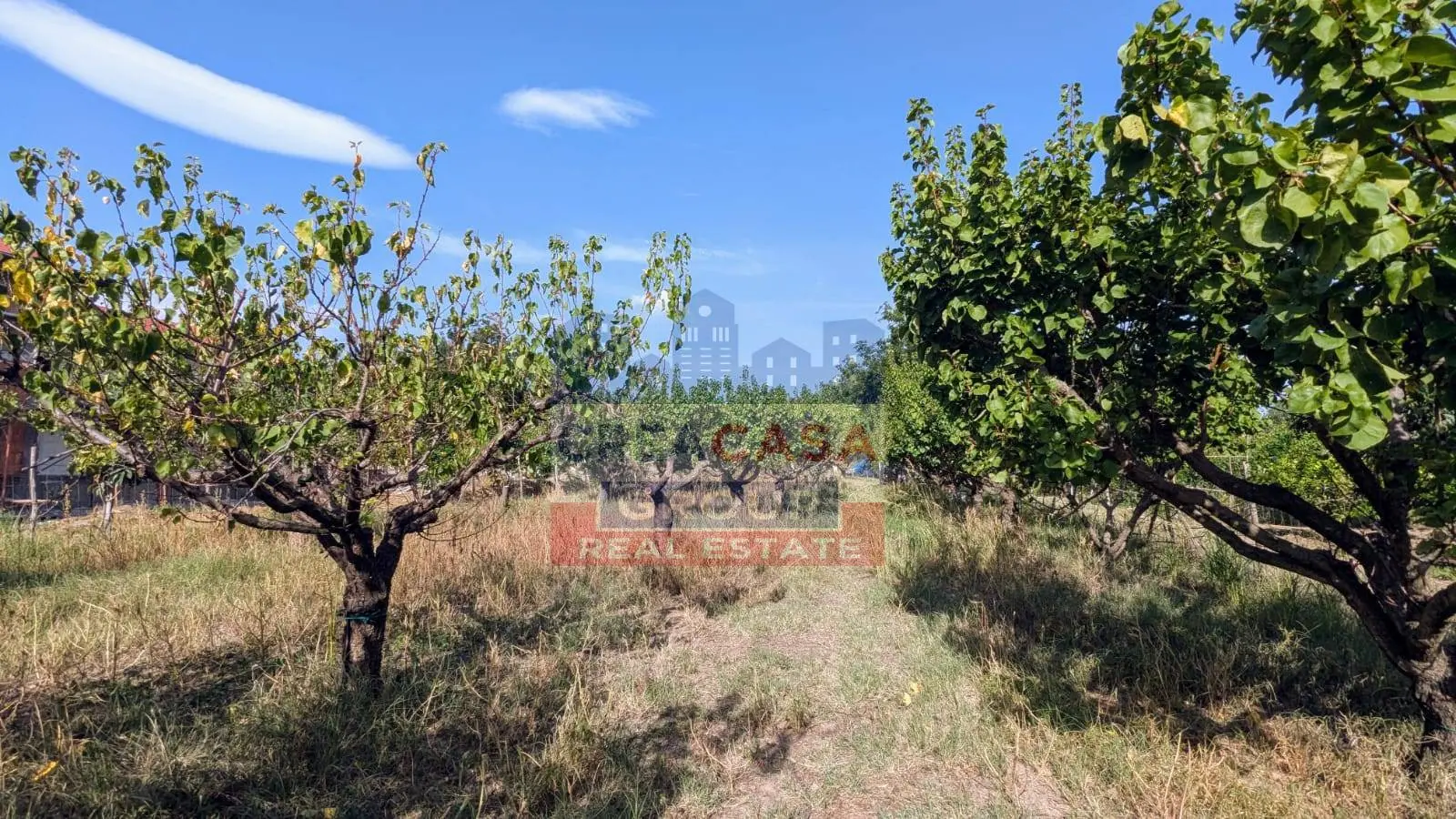 Immagine per Agriturismo in vendita a Calatabiano Pegno Quaderaro 