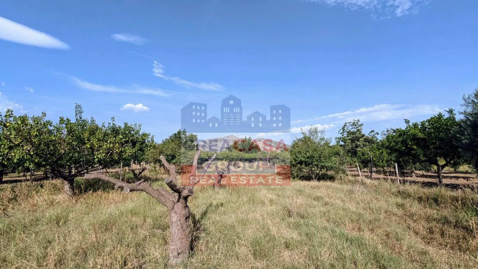 Immagine per Agriturismo in vendita a Calatabiano Pegno Quaderaro 