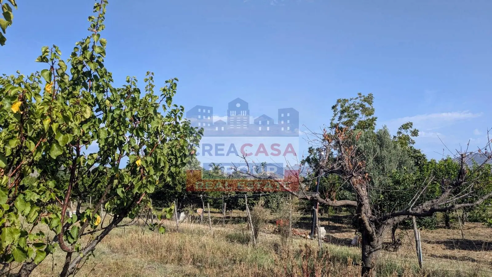 Immagine per Agriturismo in vendita a Calatabiano Pegno Quaderaro 