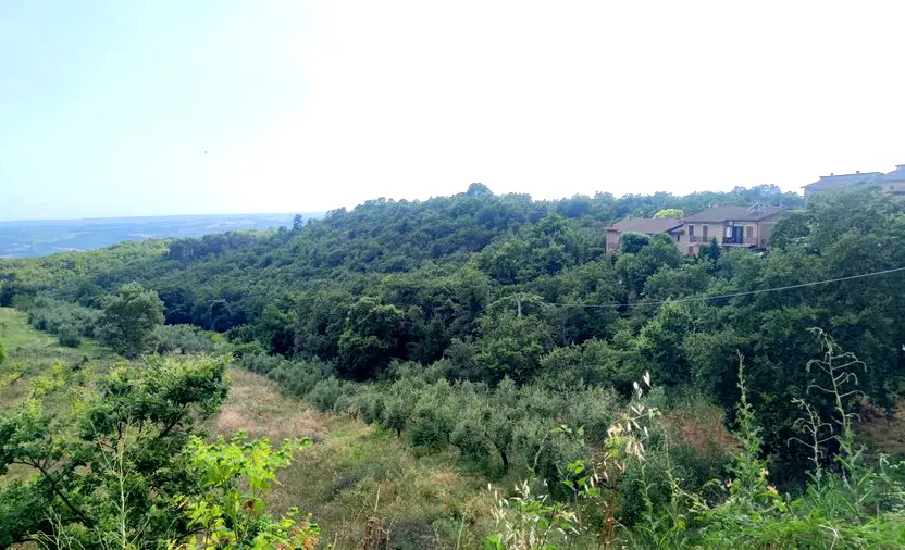 Immagine per Villa trifamiliare in vendita a Orvieto strada Comunale Di Fossatello
